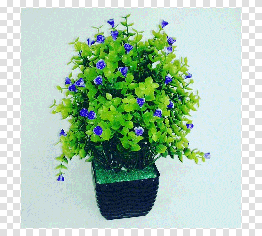Thumb Flowerpot, Plant, Blossom, Flower Arrangement, Flower Bouquet Transparent Png