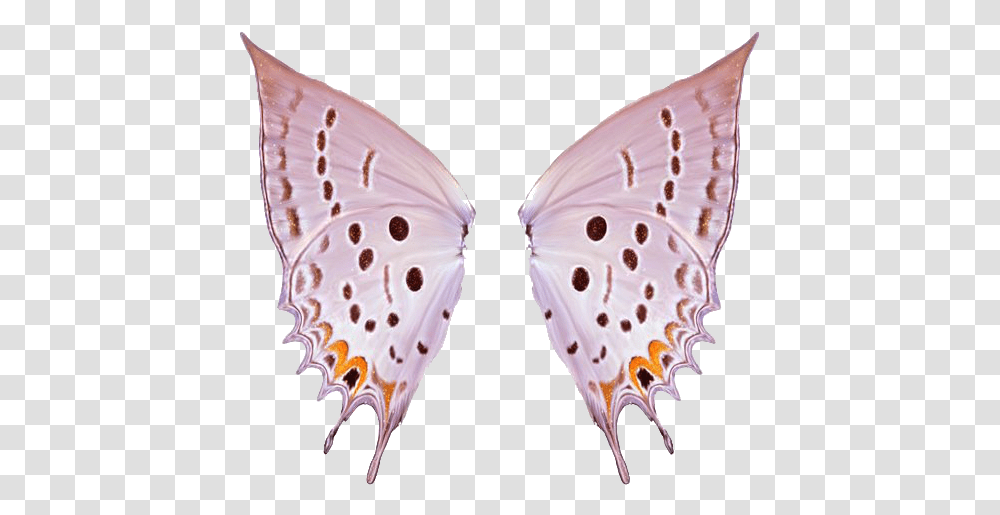 Thumb Image Alas De Mariposa, Butterfly, Insect, Invertebrate, Animal Transparent Png