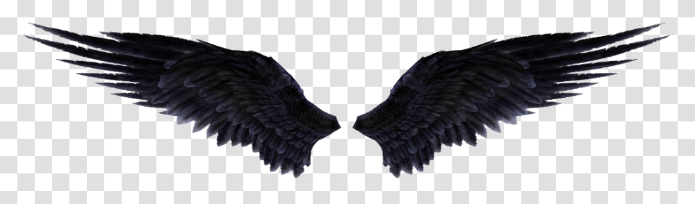 Thumb Image Angel Wings Black, Eagle, Bird, Animal Transparent Png