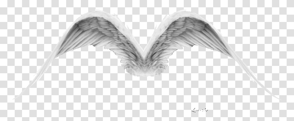 Thumb Image Angel Wings Flying Gif, Bird, Animal, Archangel Transparent Png