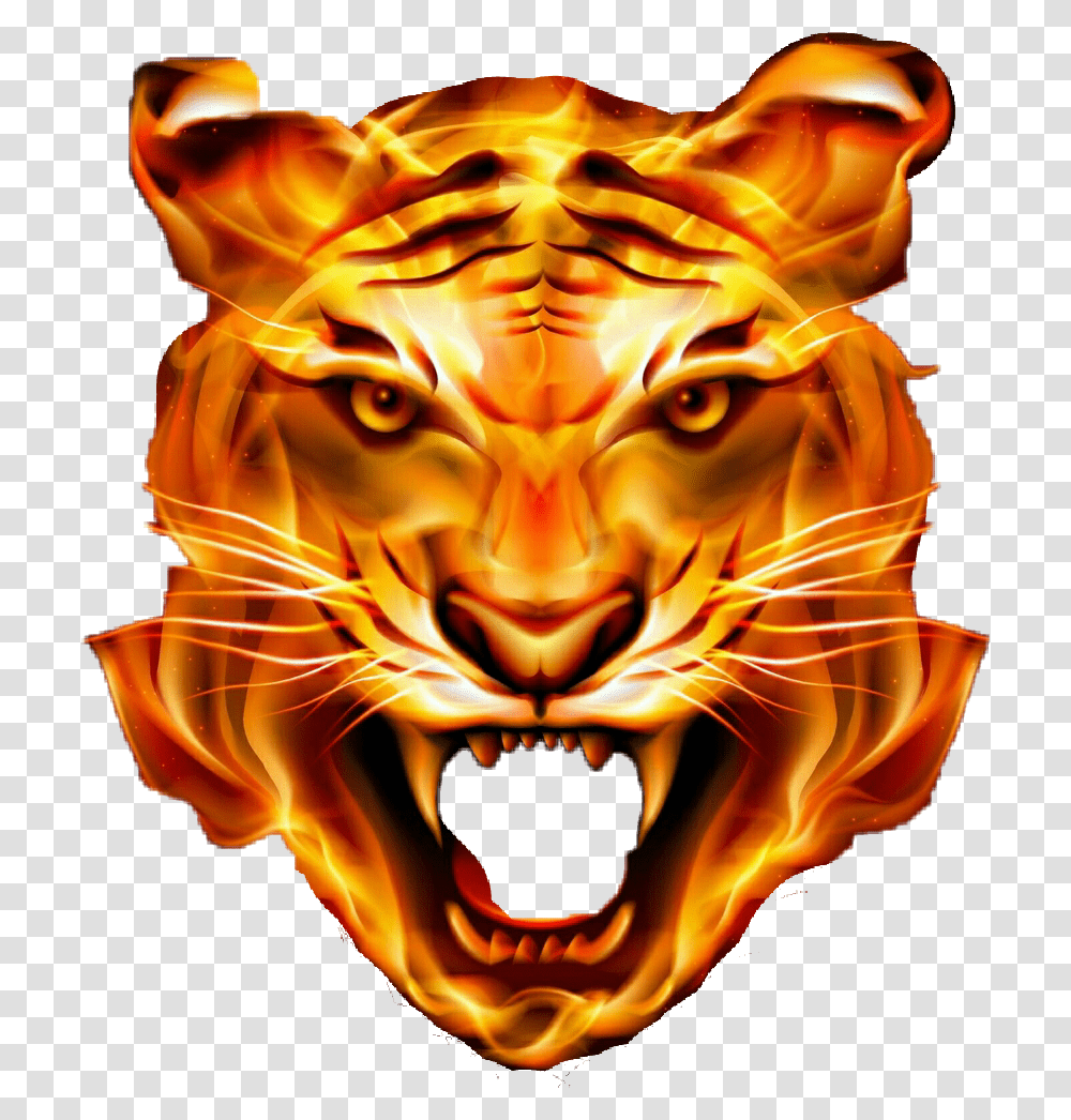 Thumb Image Angry Tiger Face, Fire, Flame, Bonfire, Mammal Transparent Png