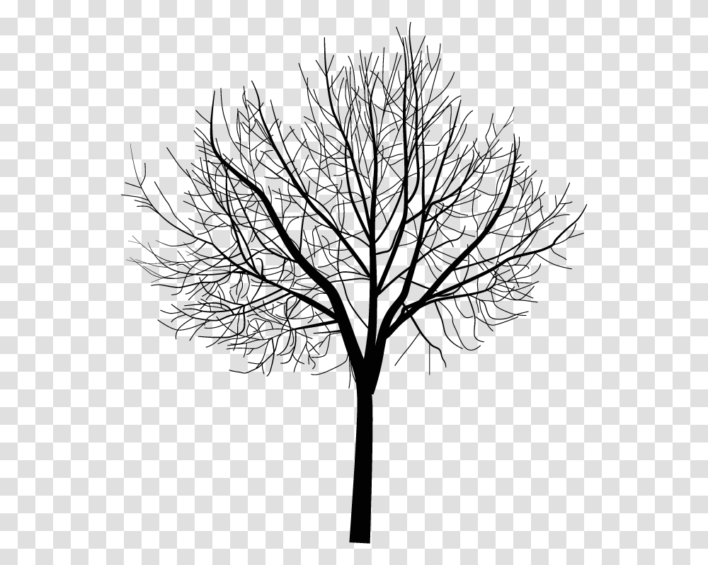 Thumb Image Animation Trees, Plant, Lighting, Lamp Post, Outdoors Transparent Png