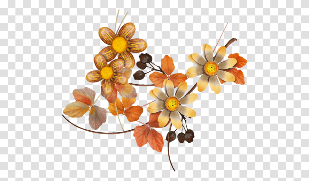 Thumb Image Autumn Flower, Floral Design, Pattern Transparent Png
