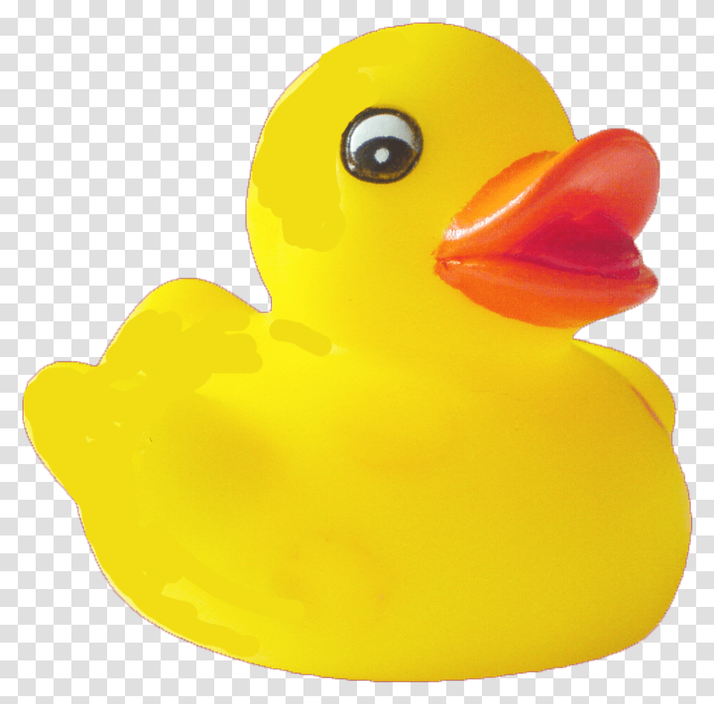 Thumb Image Background Duck, Bird, Animal, Toy, Peeps Transparent Png