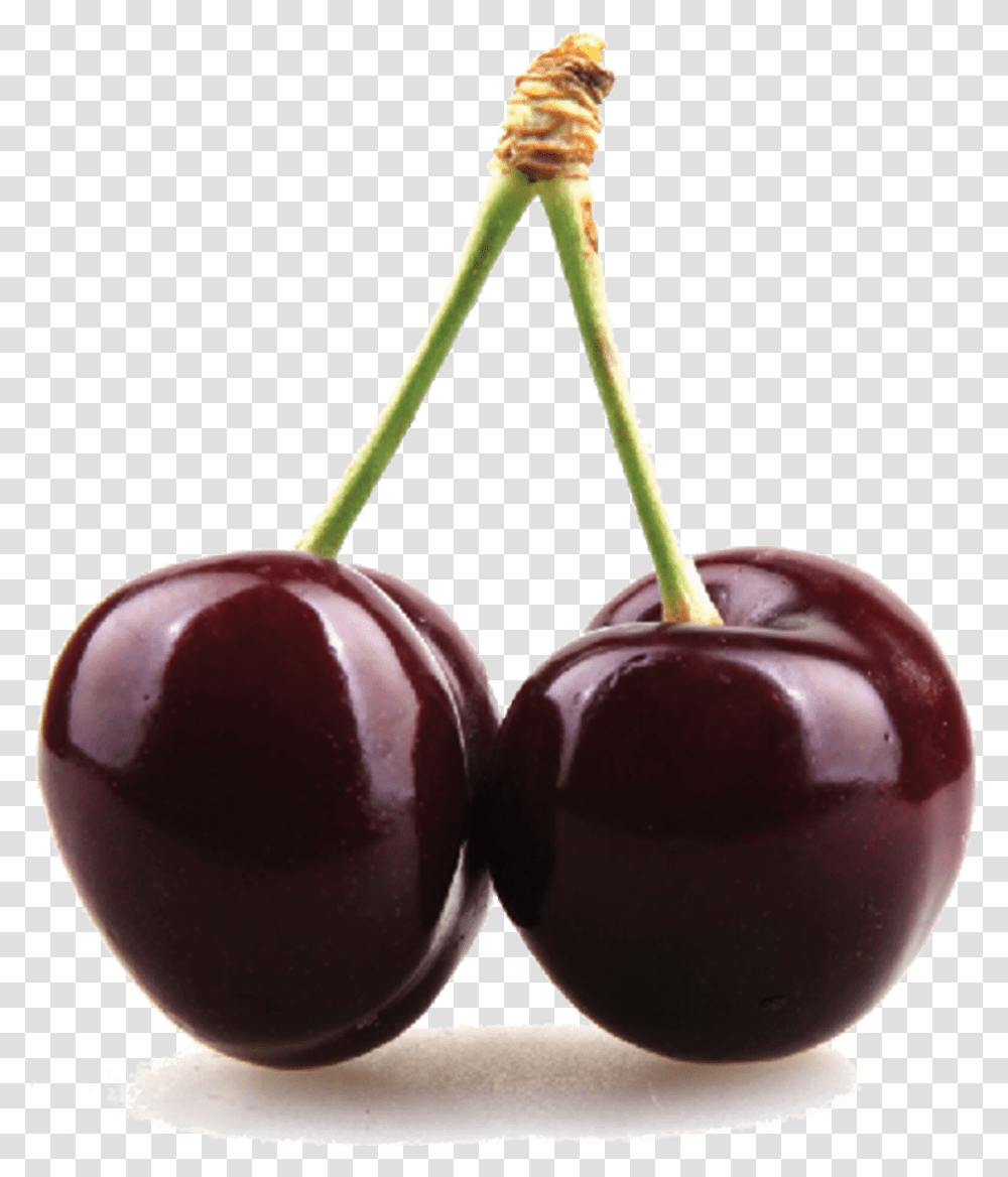 Thumb Image Black Cherry Clipart, Plant, Fruit, Food Transparent Png