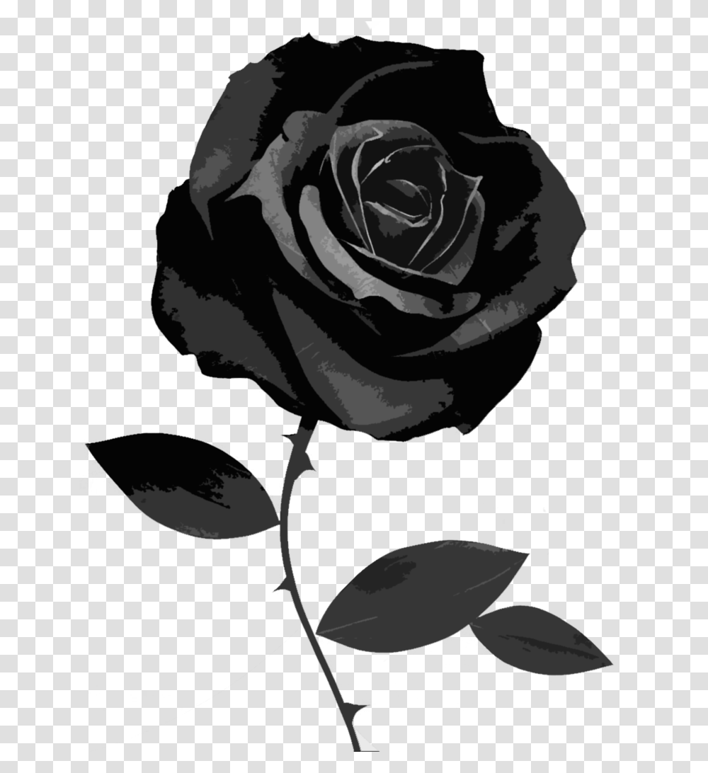Thumb Image Black Rose Background, Flower, Plant, Blossom, Petal Transparent Png