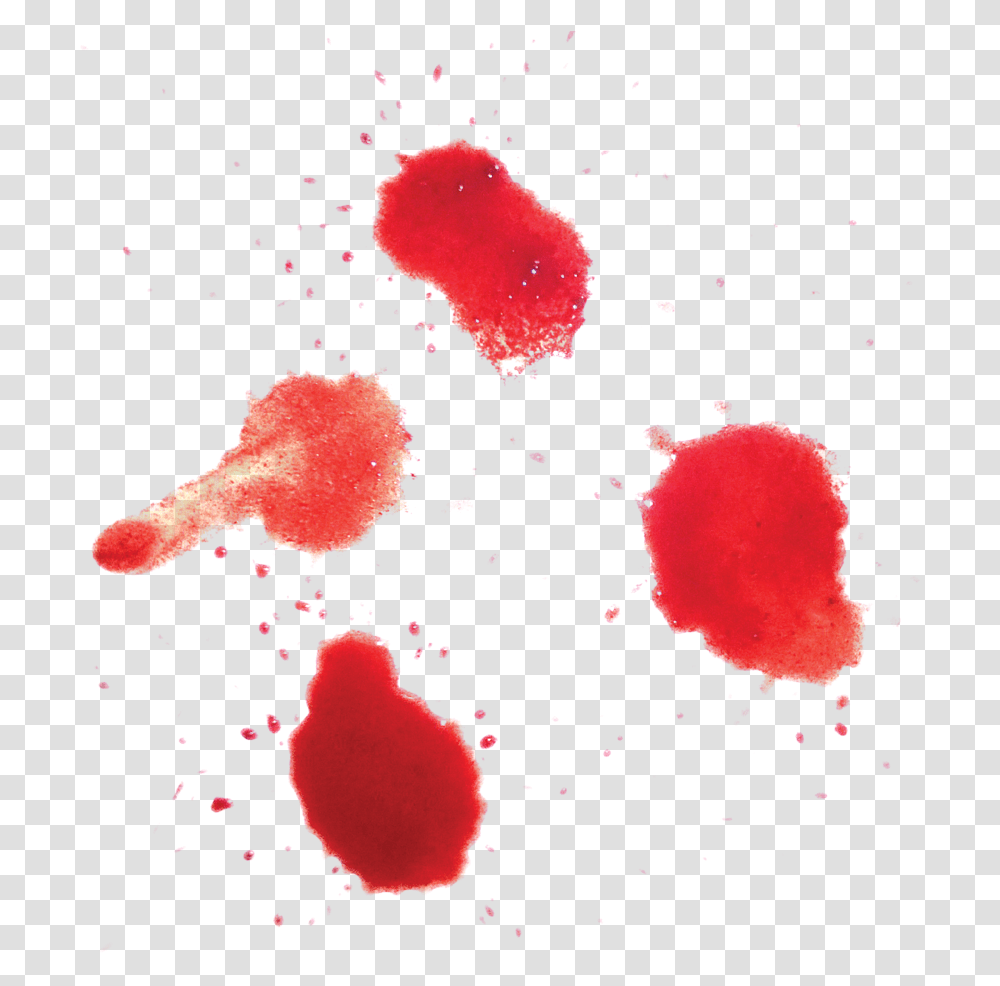 Thumb Image Blood, Stain, Rose, Flower, Plant Transparent Png