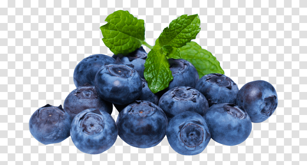 Thumb Image Blueberry, Plant, Fruit, Food, Bird Transparent Png