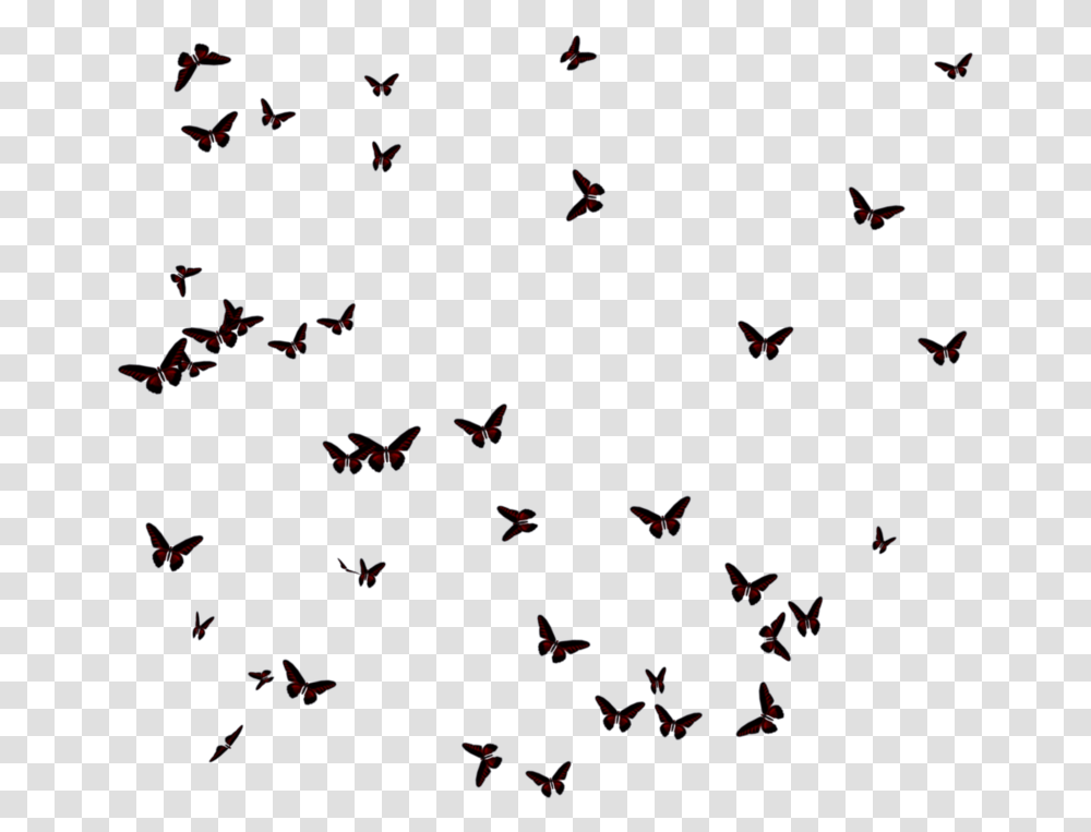 Thumb Image Butterfly Flock Silhouette, Paper, Pattern Transparent Png