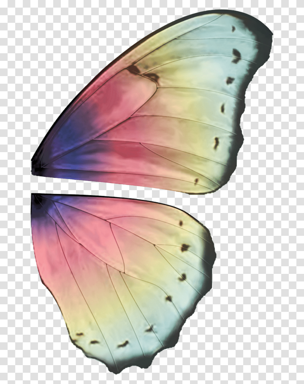 Thumb Image Butterfly Wing Design Ideas, Invertebrate, Animal, Insect, Sunglasses Transparent Png