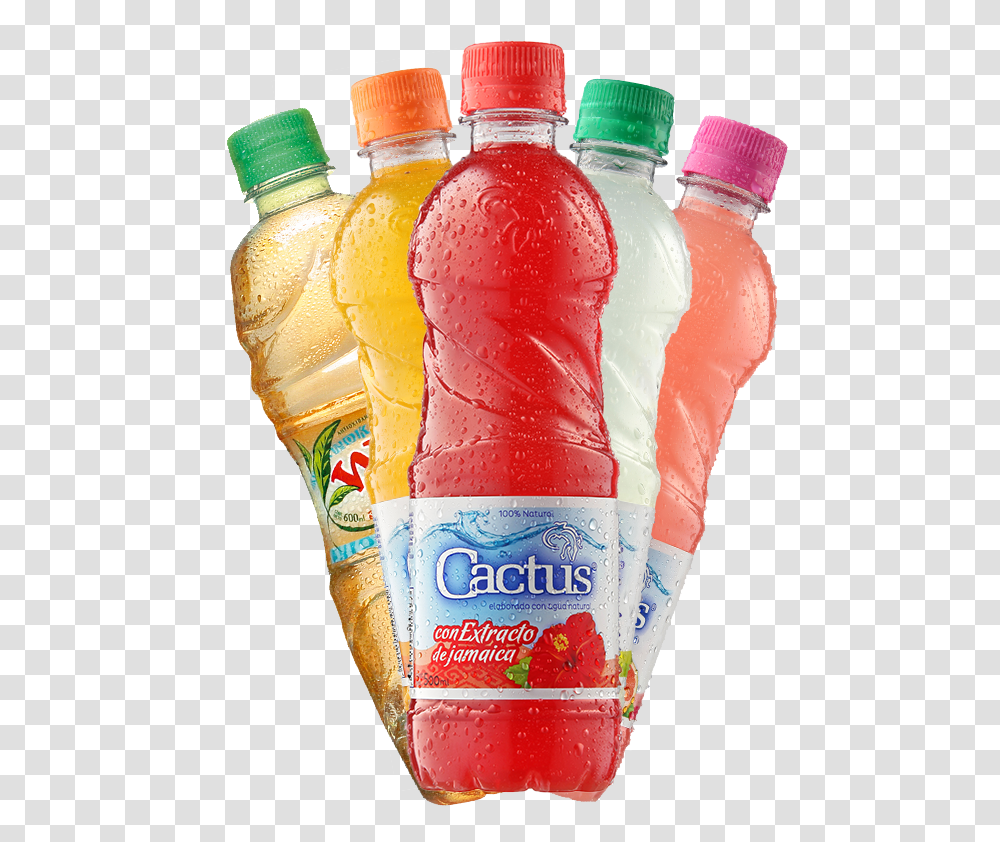 Thumb Image Cactus Bebida, Soda, Beverage, Drink, Bottle Transparent Png