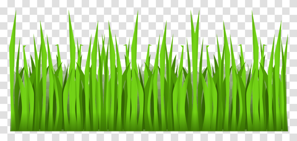Thumb Image Cartoon Grass Background, Green, Plant, Leaf, Lawn Transparent Png