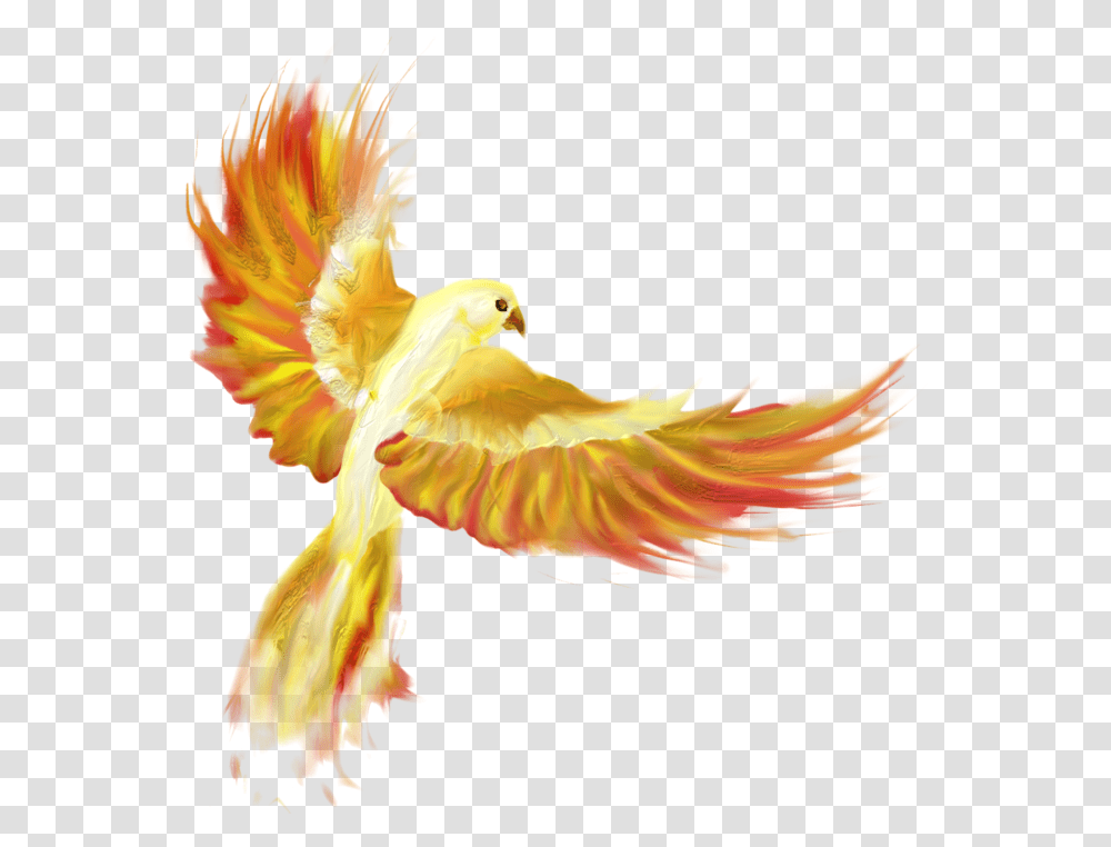 Thumb Image Cat, Bird, Animal, Flying, Canary Transparent Png