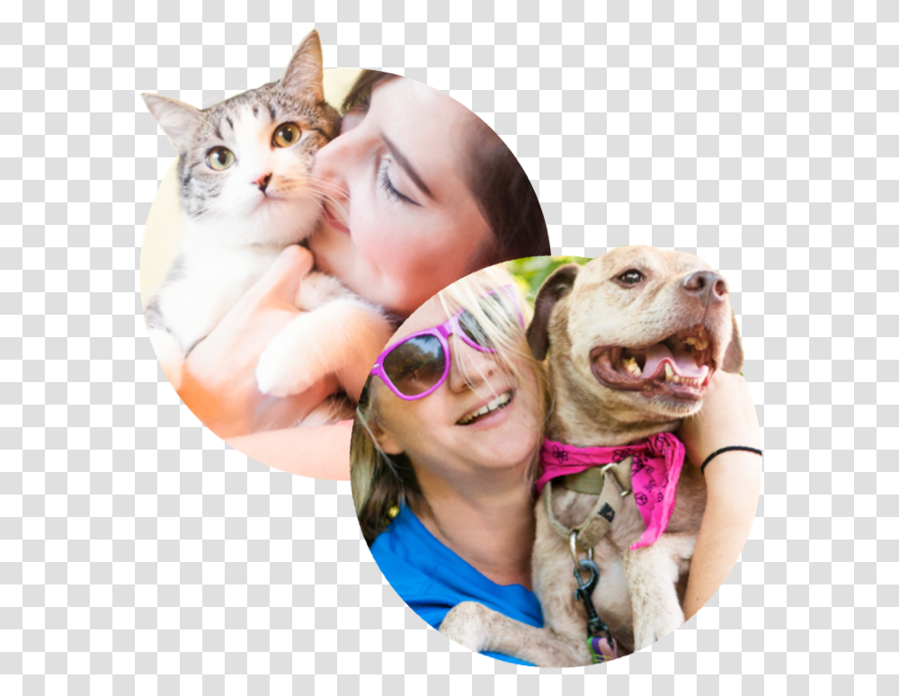 Thumb Image Cat Grabs Treat, Sunglasses, Accessories, Face, Person Transparent Png