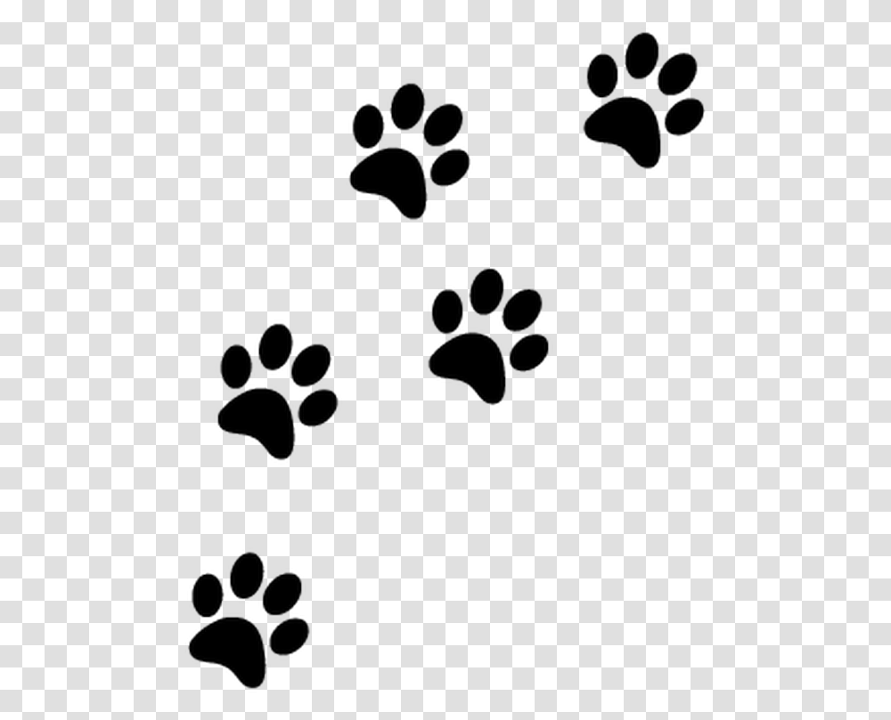 Thumb Image Cat Paw Prints, Footprint Transparent Png