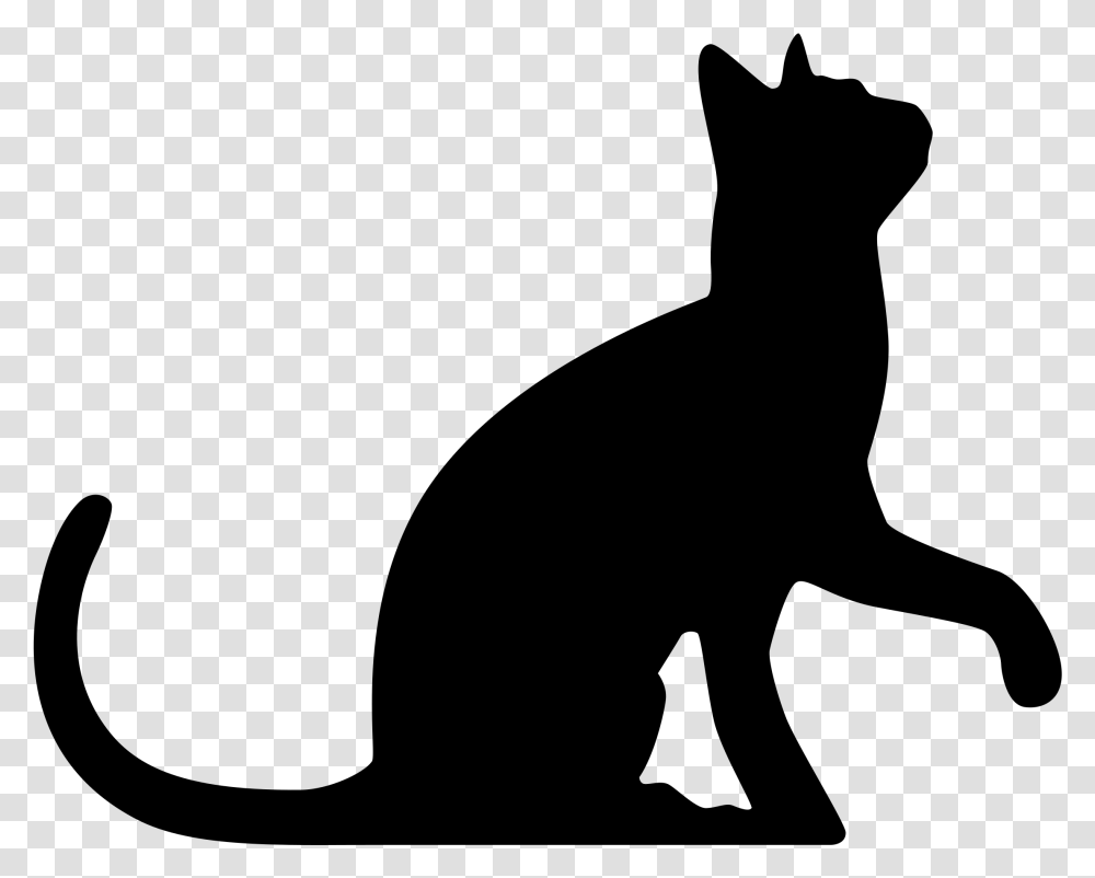 Thumb Image Cat Silhouette, Gray, World Of Warcraft Transparent Png