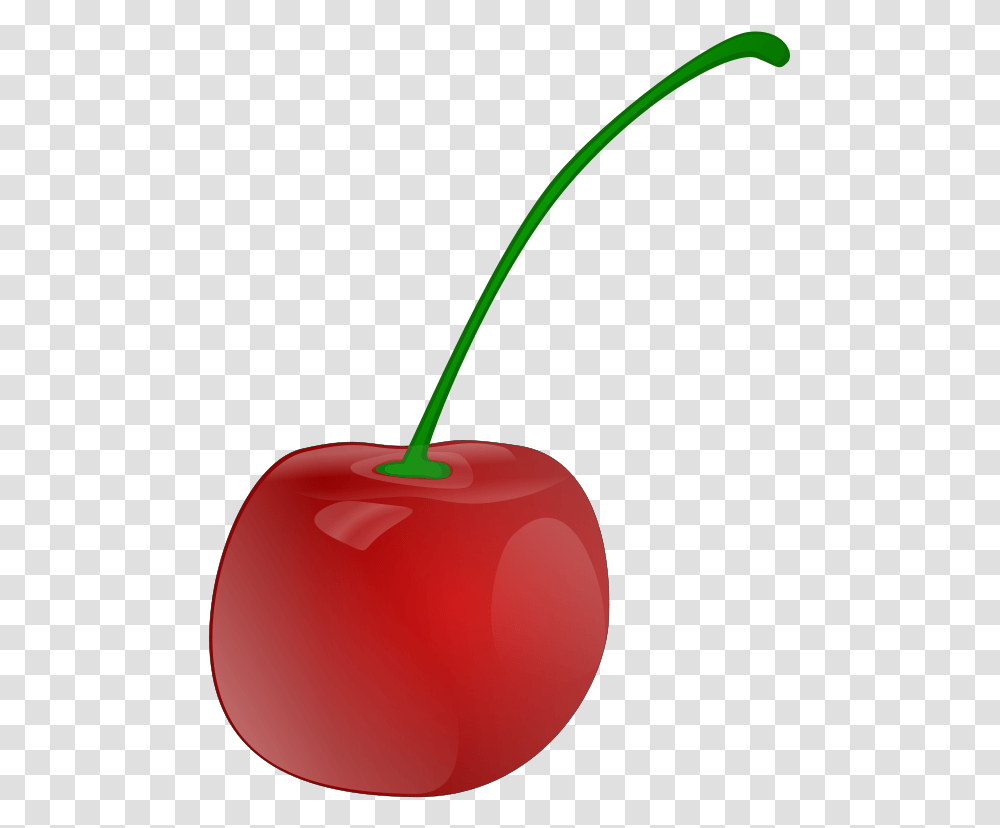 Thumb Image Cherry Vector, Plant, Fruit, Food, Lawn Mower Transparent Png