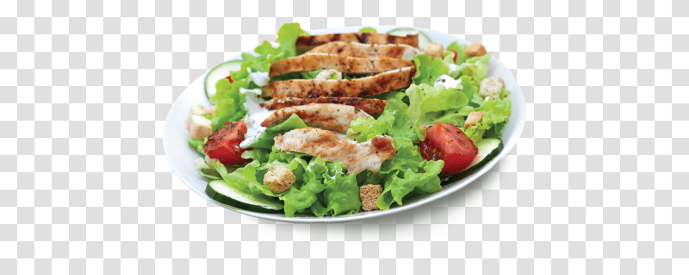 Thumb Image Chicken Salad, Lunch, Meal, Food, Plant Transparent Png