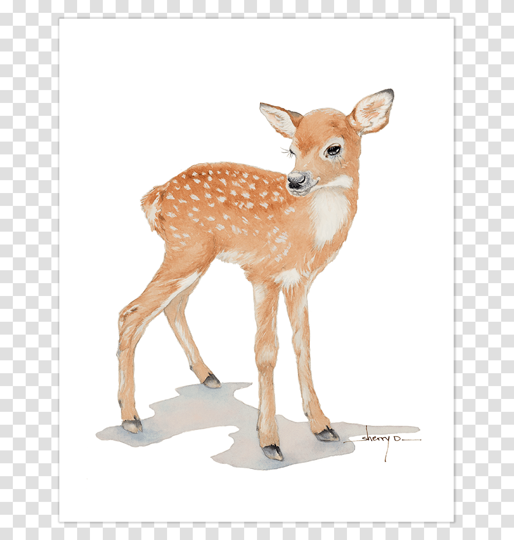 Thumb Image Clip Art Of A Baby Deer, Wildlife, Mammal, Animal, Antelope Transparent Png