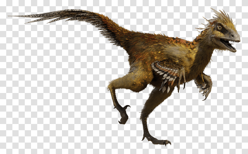 Thumb Image Color Is The Troodon, Dinosaur, Reptile, Animal, T-Rex Transparent Png
