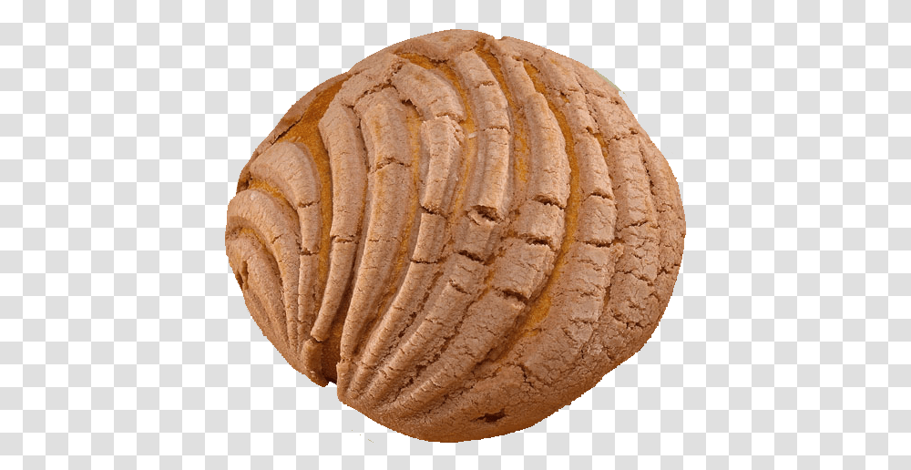Thumb Image Conchas Bread, Food, Plant, Clam, Seashell Transparent Png
