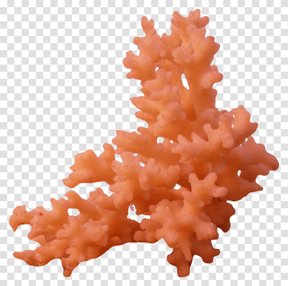 Thumb Image Coral, Ornament, Pattern, Wedding Cake, Food Transparent Png