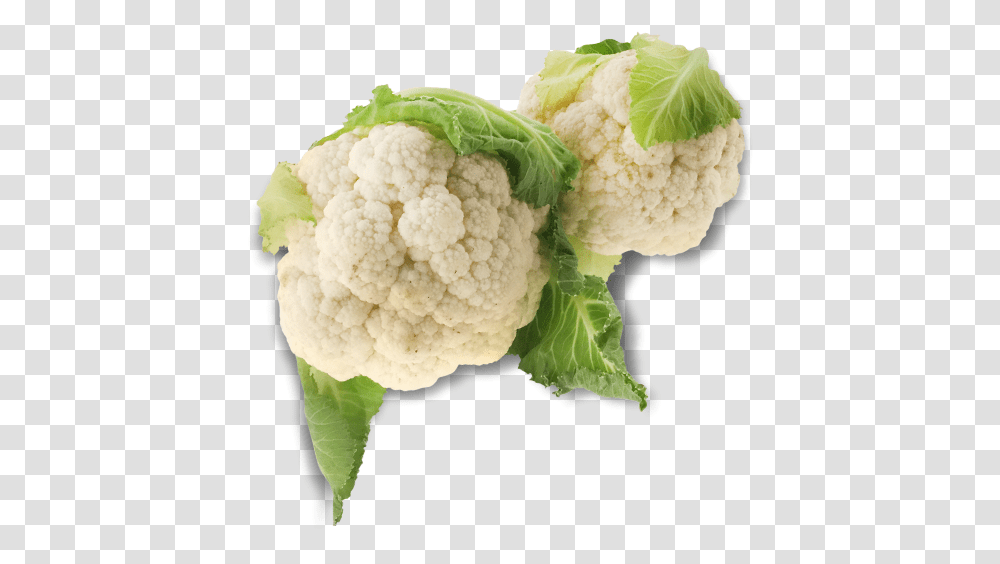 Thumb Image Couve Flor Em, Cauliflower, Vegetable, Plant, Food Transparent Png