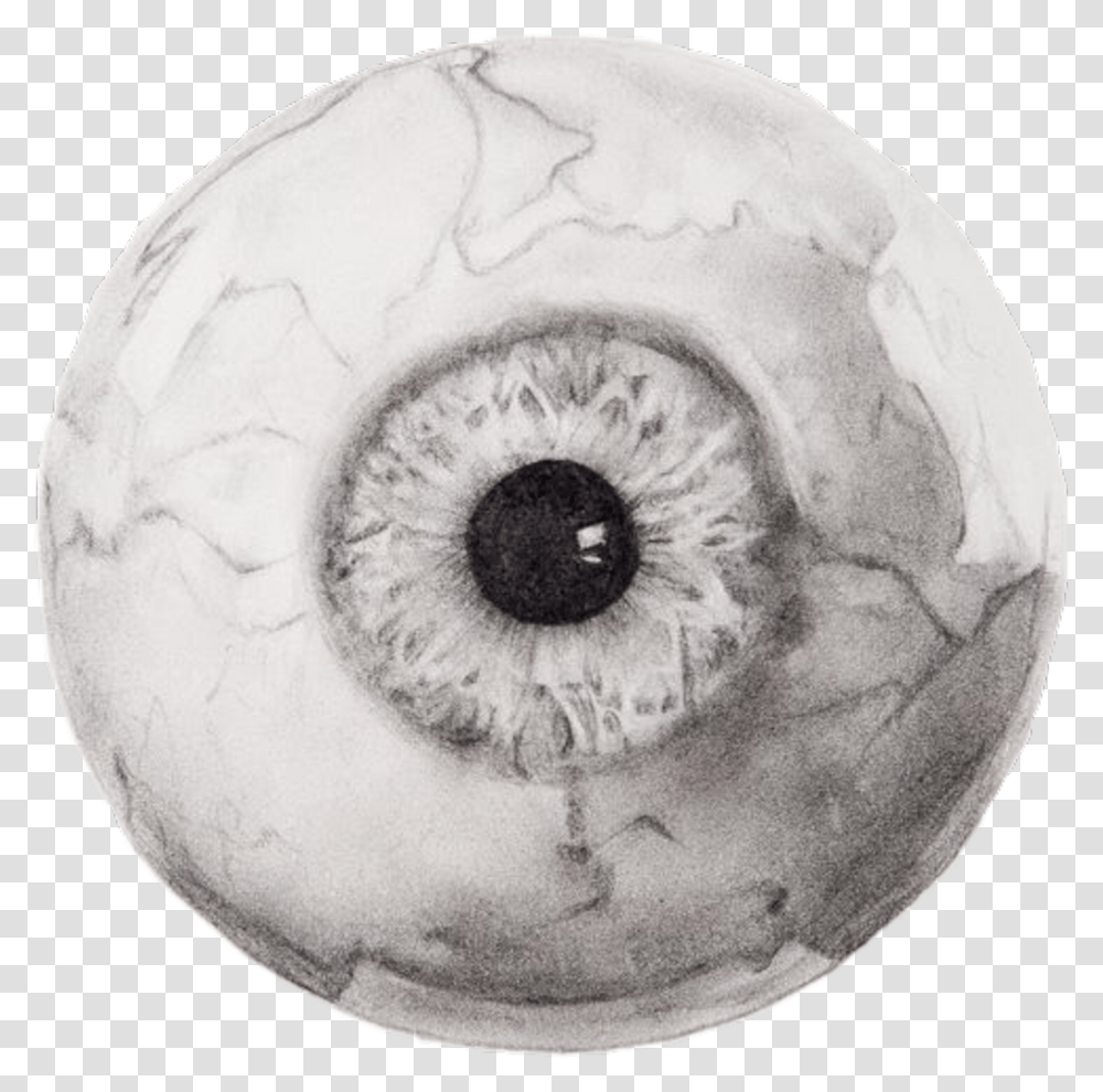 Thumb Image Creepy Eye, Soccer Ball, Sphere, Photography, Plant Transparent Png