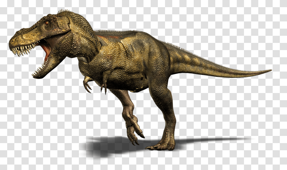 Thumb Image Dinosaurs With No Neck, Reptile, Animal, T-Rex, Lizard Transparent Png