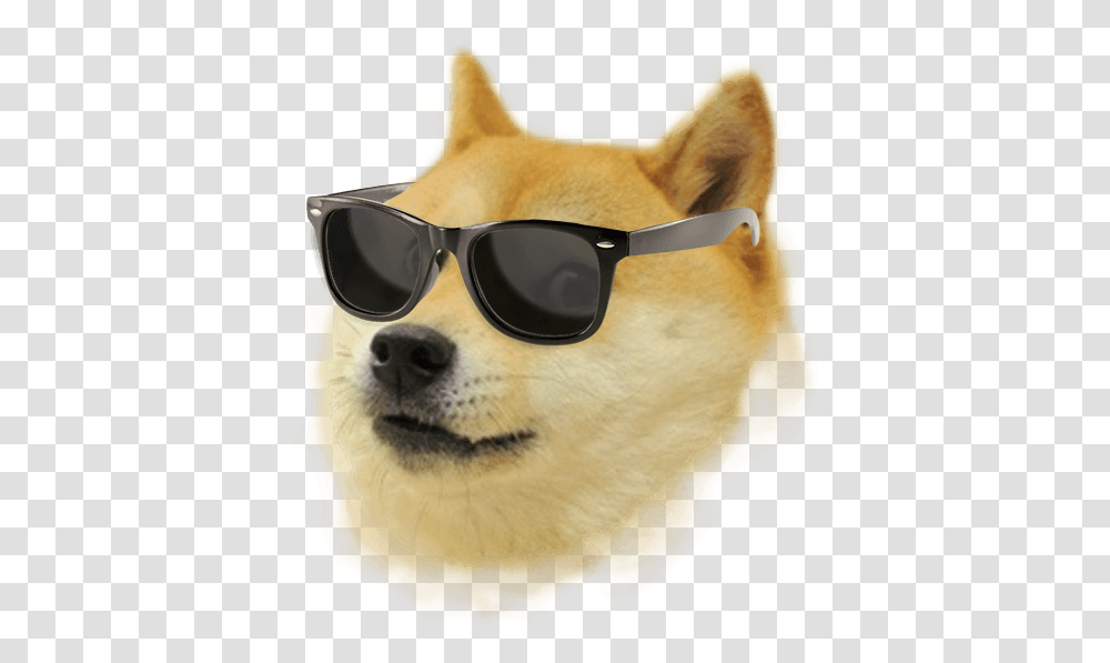 Thumb Image Doge With White Background, Glasses, Accessories, Accessory, Sunglasses Transparent Png