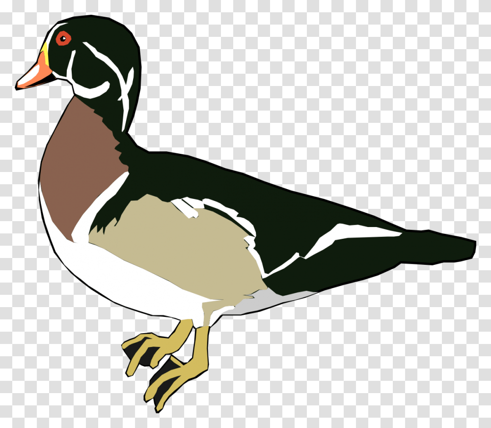 Thumb Image Duck Clipart Panda, Bird, Animal, Waterfowl, Anseriformes Transparent Png