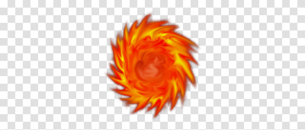 Thumb Image Fire Ball, Rose, Flower, Plant, Dahlia Transparent Png