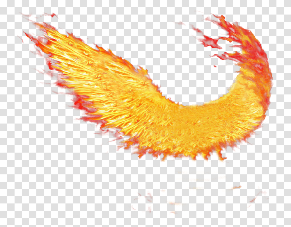 Thumb Image Fire Wings Background, Bonfire, Flame, Dragon, Chicken Transparent Png