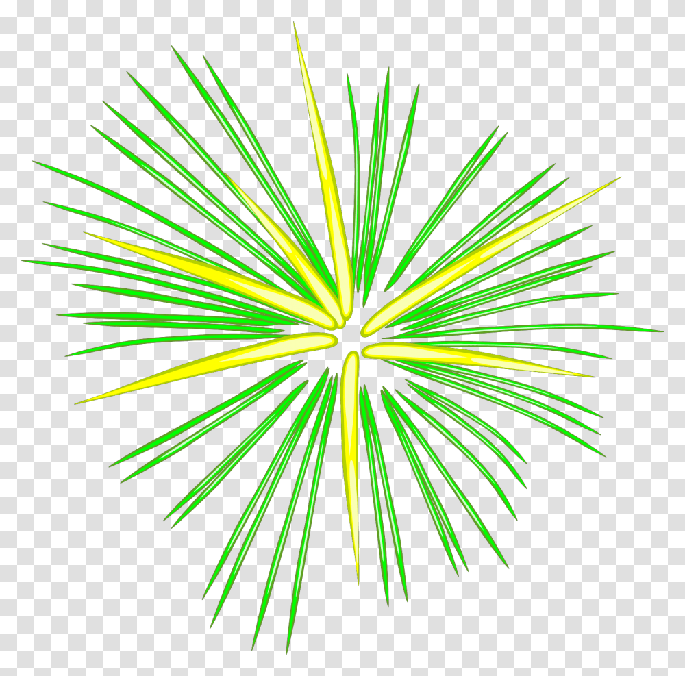 Thumb Image Firework Clipart No Background, Nature, Outdoors, Plant, Night Transparent Png