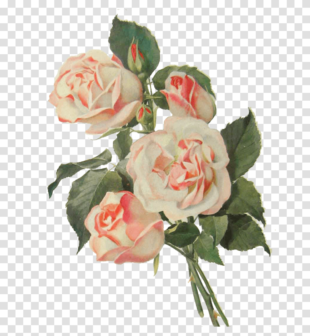 Thumb Image Floral Spray Clip Art, Rose, Flower, Plant, Blossom Transparent Png