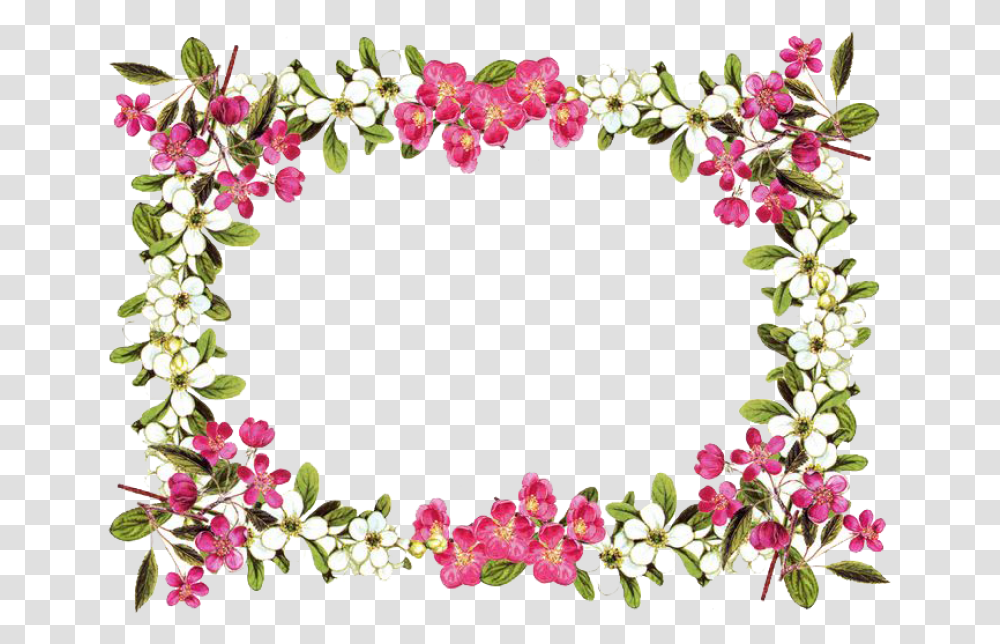 Thumb Image Flower Borders, Plant, Blossom, Floral Design, Pattern Transparent Png