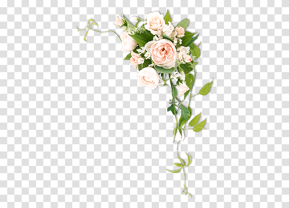 Thumb Image Flower For Photoshop, Plant, Rose Transparent Png