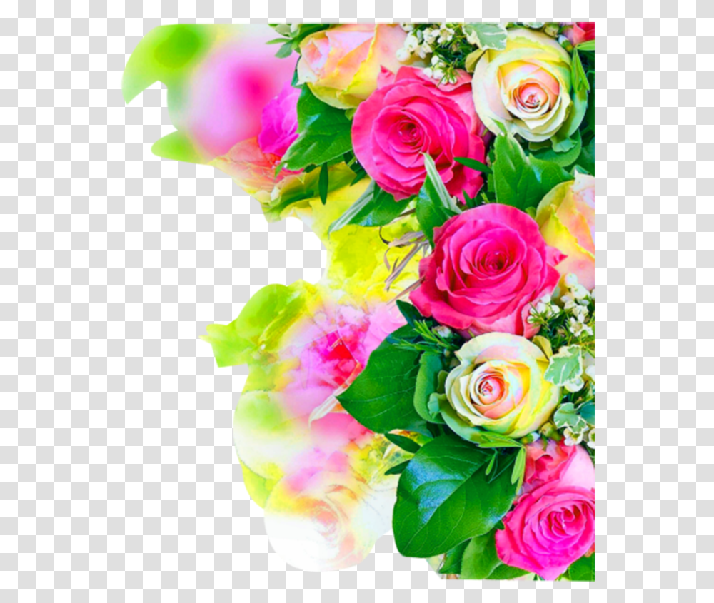 Thumb Image Flower Images Hd, Floral Design, Pattern Transparent Png