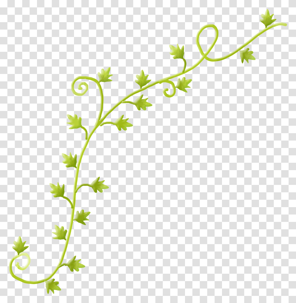 Thumb Image Flower Vine Clipart, Floral Design, Pattern, Green Transparent Png