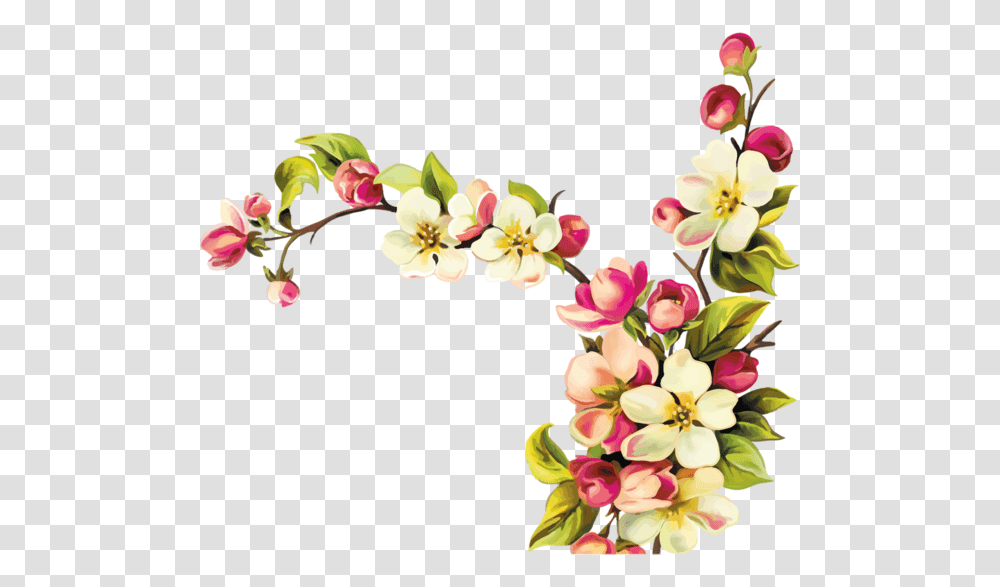 Thumb Image Flowers Design Vector, Plant, Blossom, Floral Design, Pattern Transparent Png