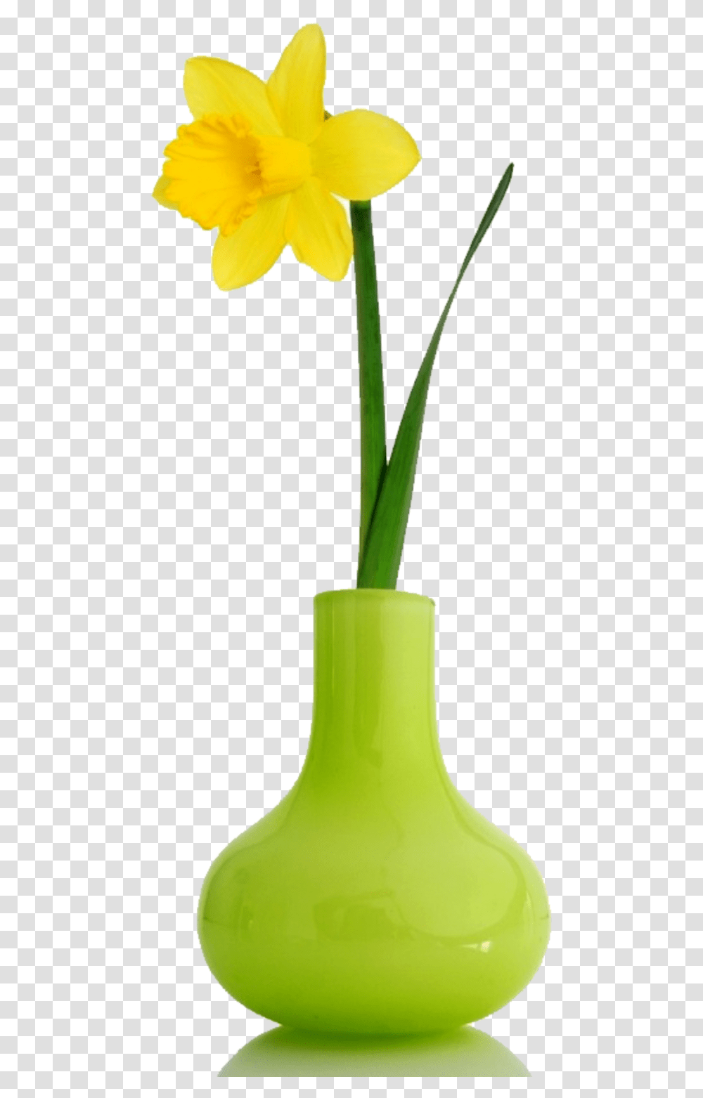 Thumb Image Flowers In Vases, Jar, Pottery, Plant, Blossom Transparent Png