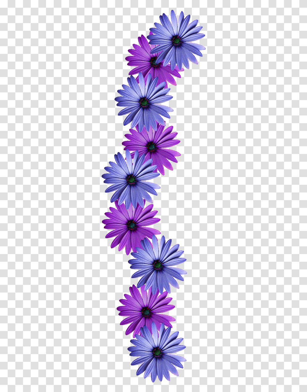 Thumb Image Flowers Vine, Plant, Daisy, Daisies, Blossom Transparent Png