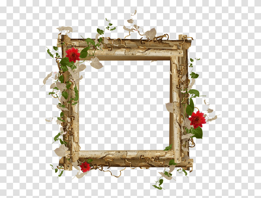 Thumb Image Frem, Plant, Gate, Flower, Mirror Transparent Png