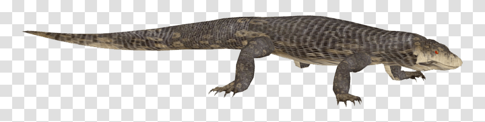 Thumb Image Gecko, Lizard, Reptile, Animal, Crocodile Transparent Png