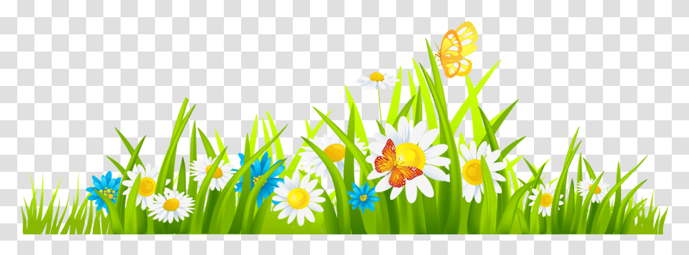 Thumb Image Grass Clipart, Floral Design, Pattern, Plant Transparent Png