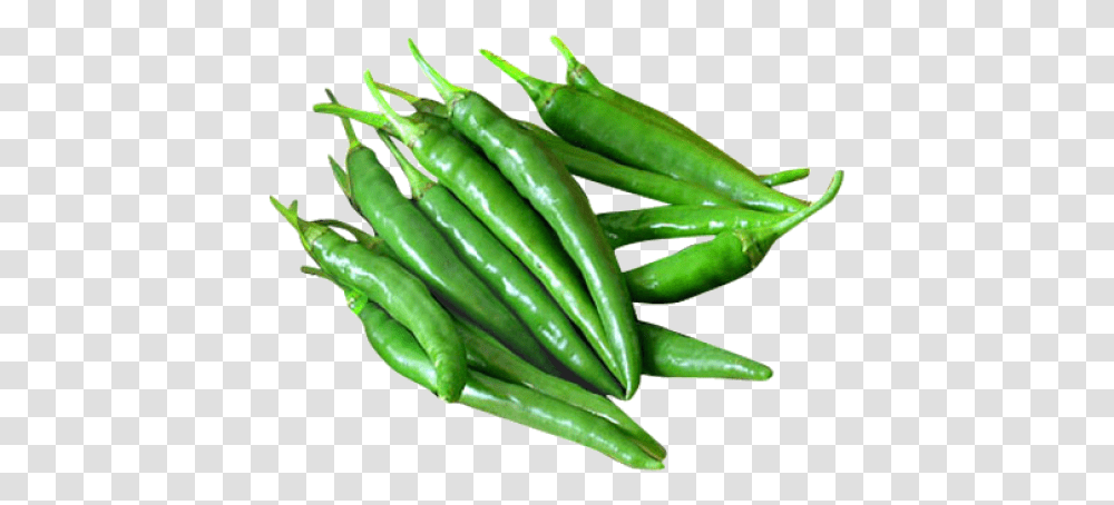 Thumb Image Green Chilli Image, Plant, Vegetable, Food, Produce Transparent Png