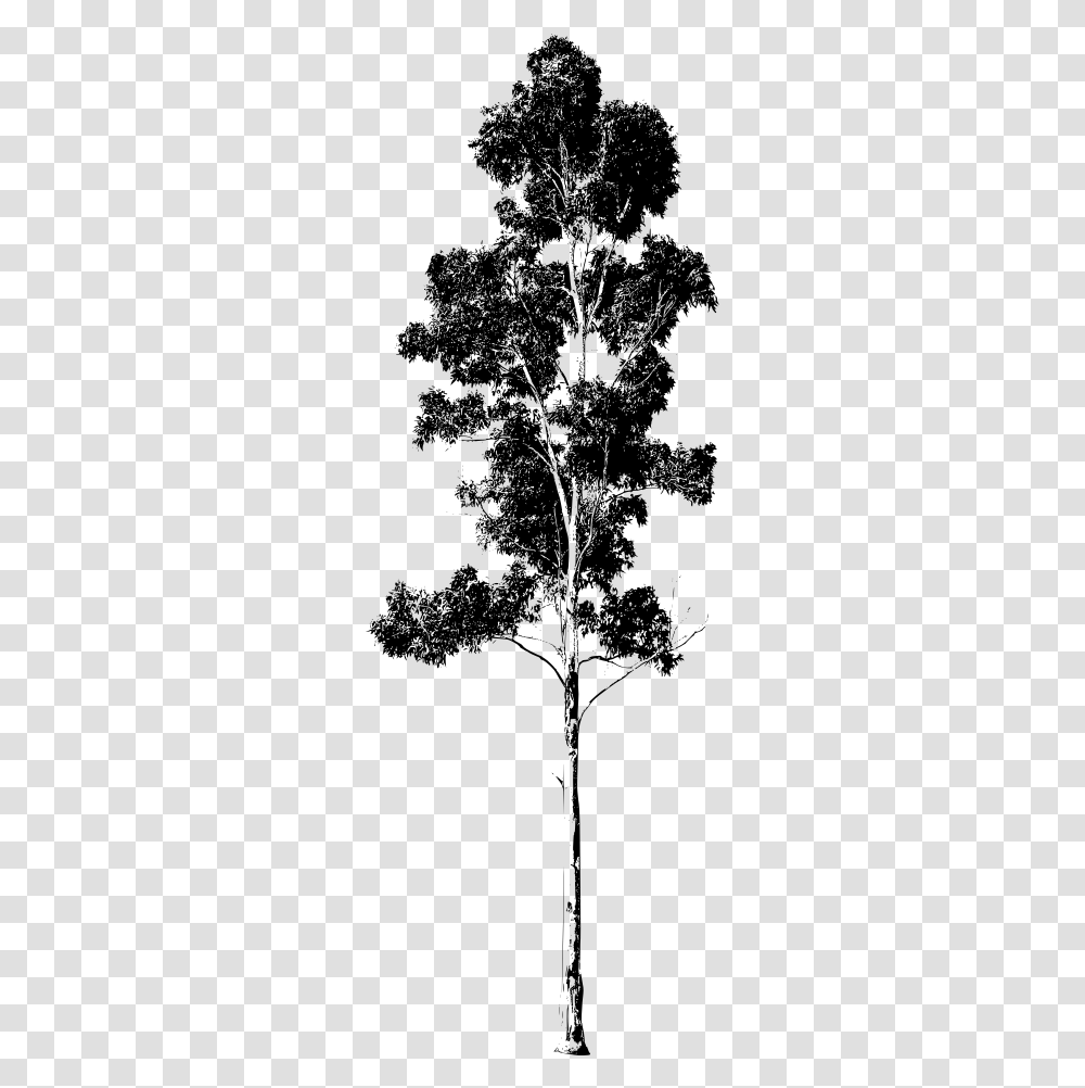 Thumb Image Gum Tree Silhouette, Gray, World Of Warcraft Transparent Png