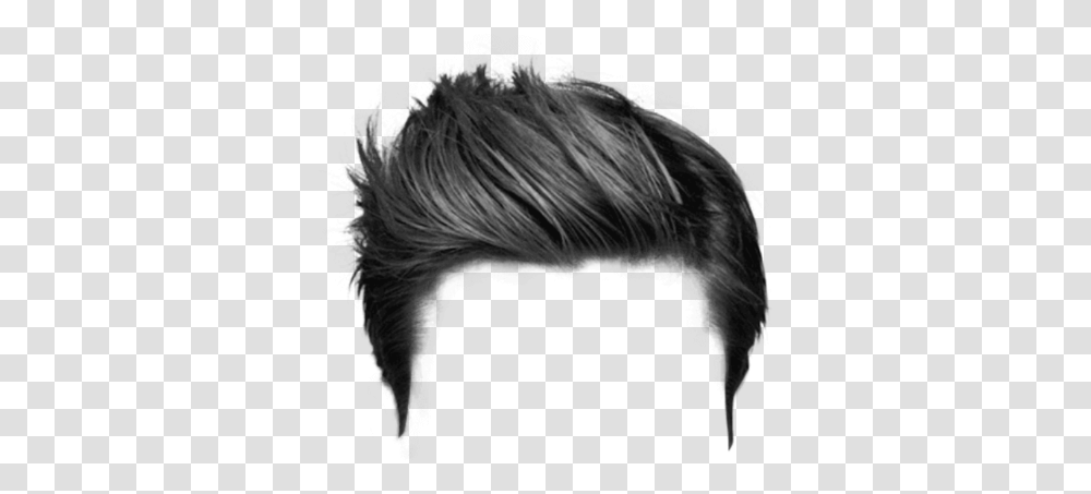 Thumb Image Hair Style For Photoshop, Pillow, Cushion, Bird, Animal Transparent Png