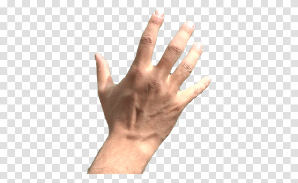Thumb Image Hand Grabbing, Wrist, Person, Human, Finger Transparent Png