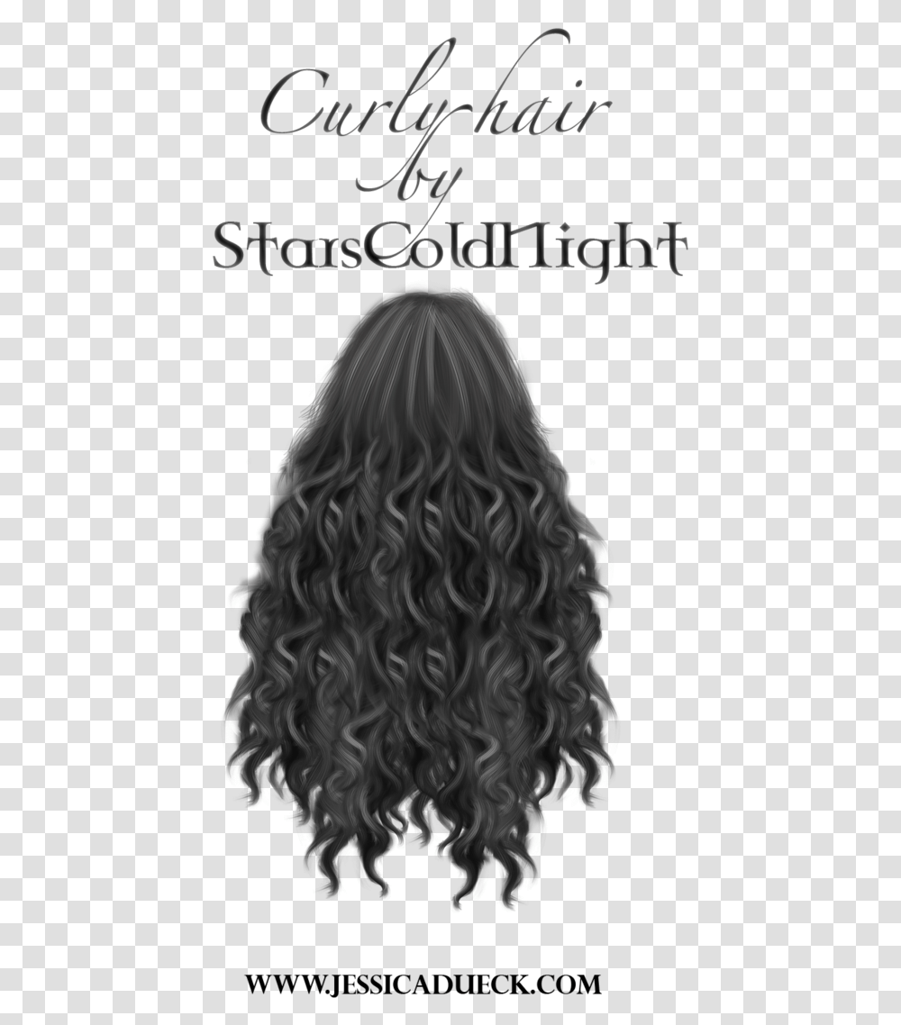 Thumb Image Hd Curly Hair, Person, Human, Back Transparent Png